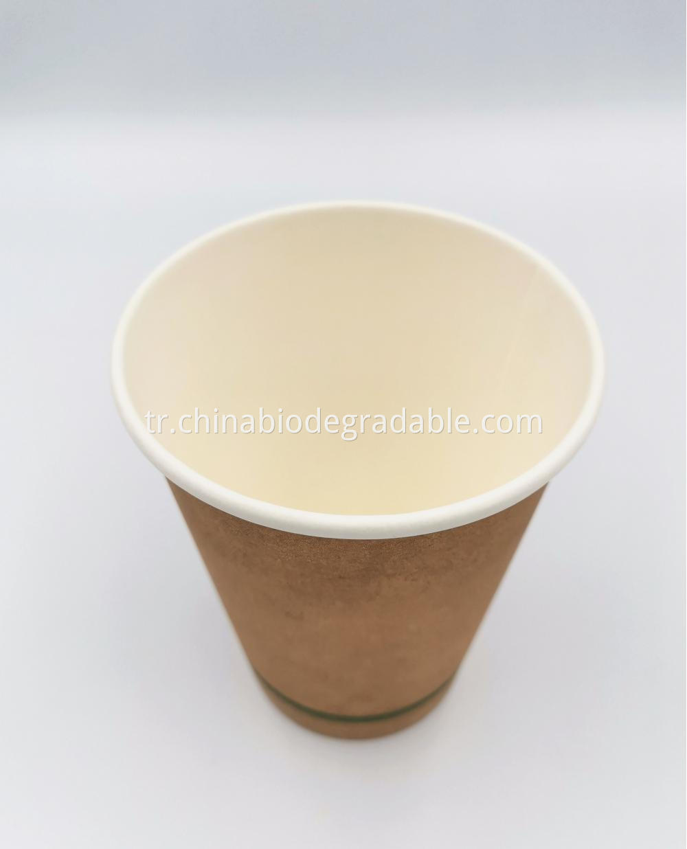 PLA Disposable Coffee Paper Cup 16oz